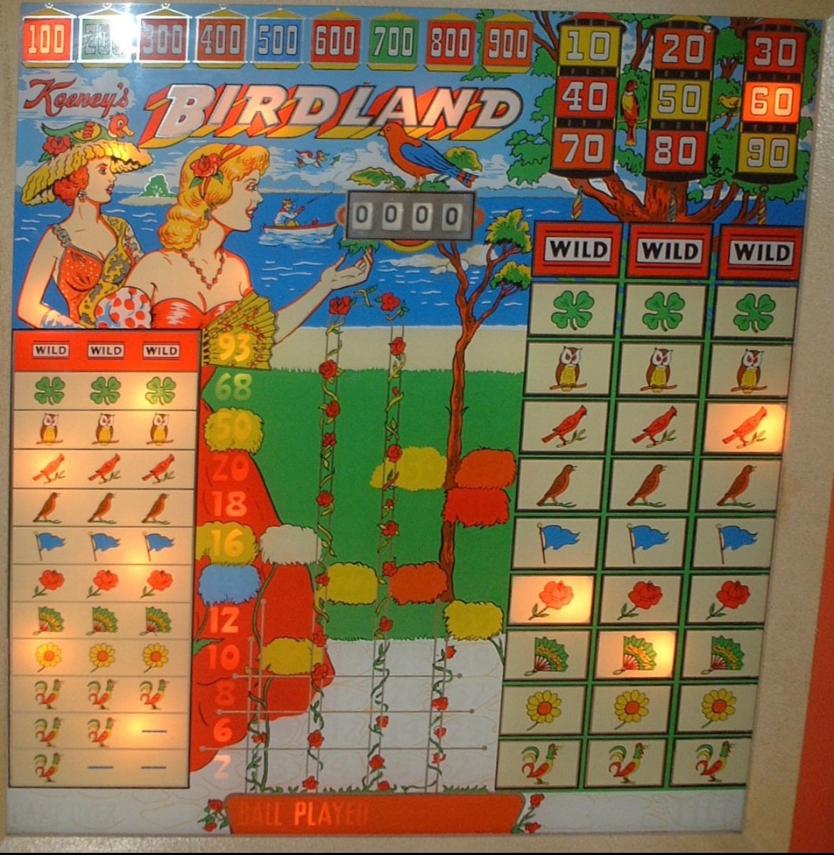 Birdland