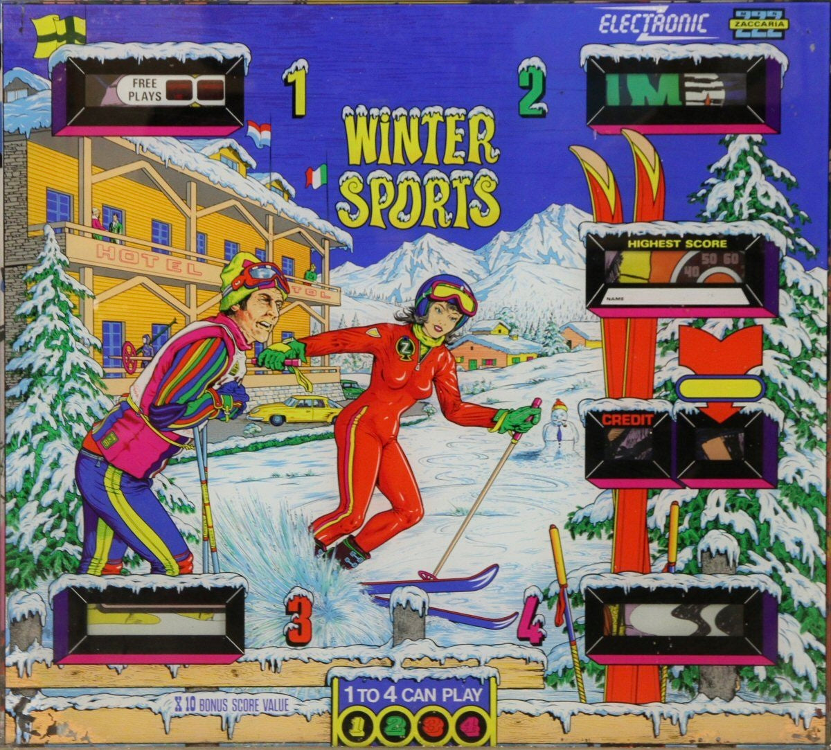 Winter Sports